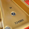 1923 Steinway M grand, satin ebony - Grand Pianos